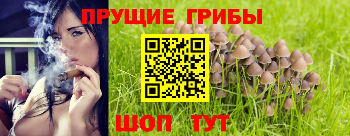 Псилоцибиновые грибы мицелий  Псилоцибиновые грибы Psilocybe  Лосино-Петровский  Вход с VPN 